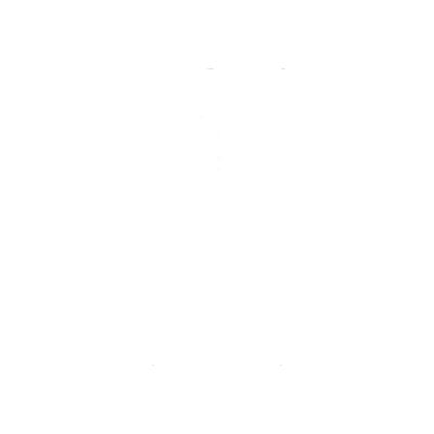 money icon